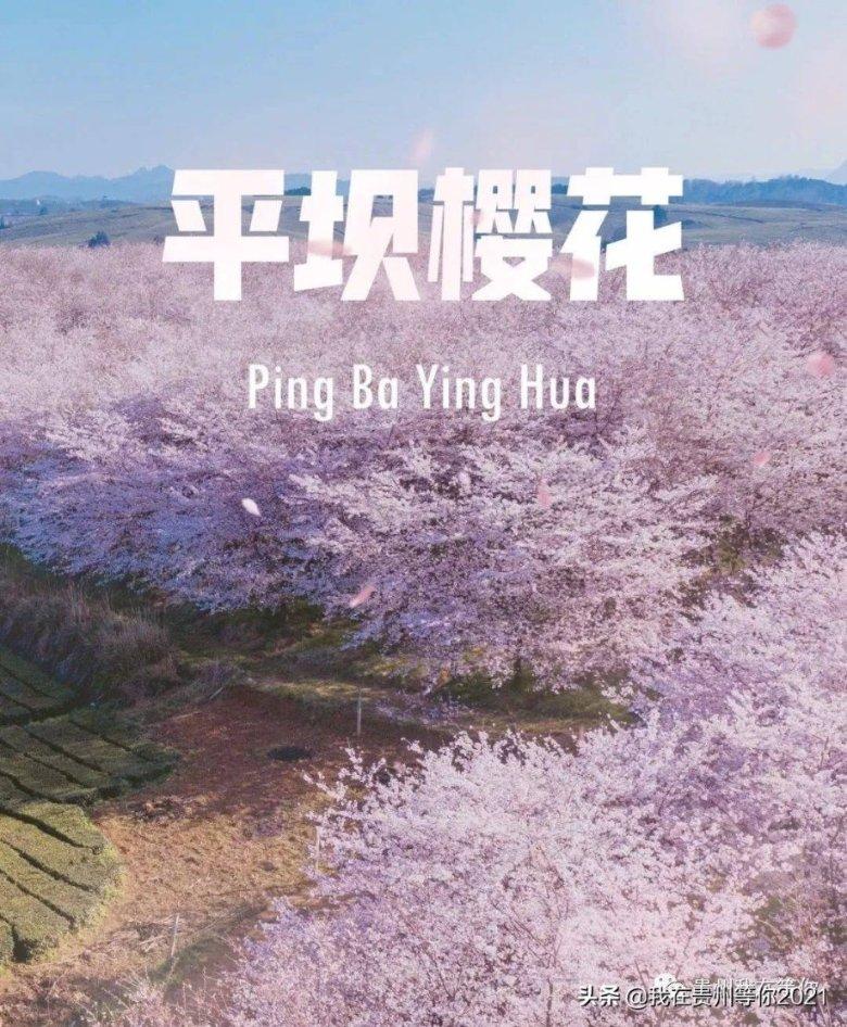 赏金猎人团